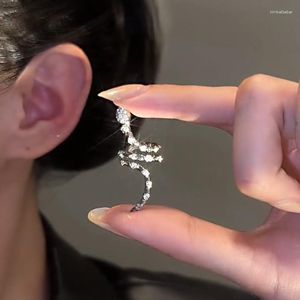 Dos Boucles D'oreilles Serpent Forme Zircon Oreille Os Pince Pour Femmes Cristal Clip Sur Earcuff Sans Piercing Mode Personnalisé Cadeau Bijoux