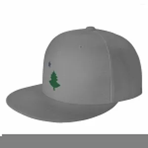 Caps à balle Old Maine State Flag Hat Original Pine Tree Star Dad Hop Hop Hop Hops Men's Luxury Women's