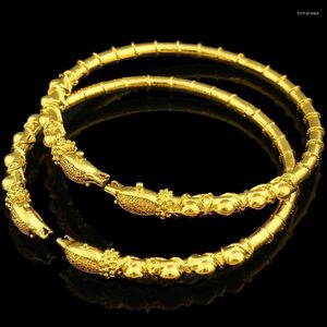 Brazalete pulsera de dragón para mujeres y hombres, joyería de Color dorado, brazaletes de animales etíopes/estadounidenses/africanos, artículos Trum22