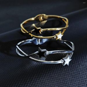 Bangle Luxurious Star Zircon Bracelet en acier inoxydable haute qualité pour femme Brand Charme Jewelry Girlfriend Girlful Wholesale