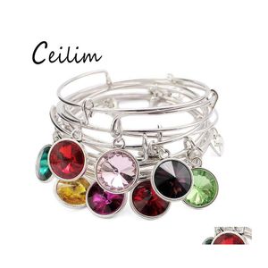 Bangle Selling Fashion USA Birthstone Pends Charms Expandible Wire Ajustable Pulseras ajustables para mujeres Joyas de la suerte Fit Brithday D Otebq