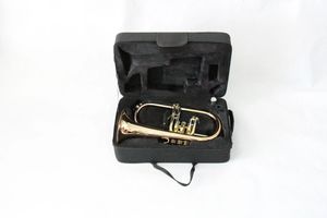 Trompettes Standard Bb pour débutant ou étudiant avancé, Instrument de trompette en laiton avec embout 7C, étui rigide, chiffon de polissage