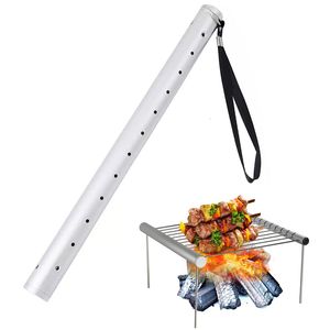 Collapsible Portable BBQ Grill, Stainless Steel Foldable Barbecue Holder for Outdoor Park Camping