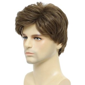 BCHR MENS WIGS BRORM BRORN MEN Men de costume Natural Fluffy Cosplate Synthetic Mens Wig For Male Guy 240412