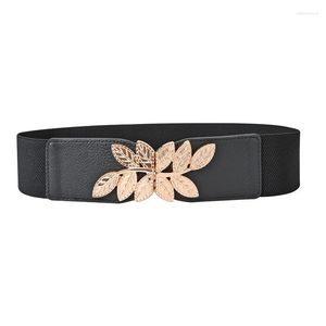 Cinturones Cinturón de moda para mujer Cintura elástica de alta calidad Vestidos femeninos Accesorios Hebilla de hojas Cinturones elásticos 2022