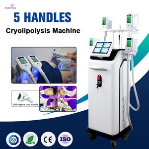 Máquina de tratamiento de adelgazamiento corporal de gran potencia, sistema de criolipólisis, 5 manijas, personalización de logotipo aprobada por CE FDA