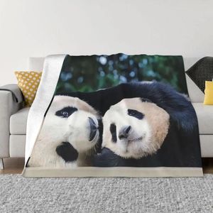 Mantas Fubao Aibao Panda Fu Bao Manta Calor de invierno Comodidad para todas las estaciones Tiro para fácil cuidado Máquina Viajes Camping