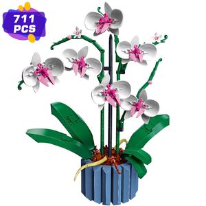 Blocs Bouquet de fleurs d'orchidées 10311 Ensemble de construction de décors de plantes pour adultes ; Construire une pièce d'affichage La maison ou le bureau 221024