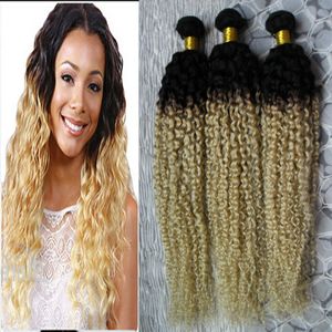 Rubio brasileño rizado Ombre 100% Paquetes de cabello humano 3PCS Ombre Paquetes de cabello humano 1b 613 # Paquetes de armadura de cabello brasileño