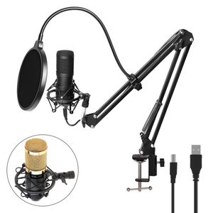 Microphone à condensateur USB BM-800, 192KHz/24 bits, Kits de Microphone pour ordinateur, karaoké, pour son/enregistrement en Studio