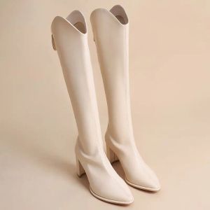 Botas Botas para mujeres Tassel Tisos altos calzadas zapatos de tacón elegantes para mujer Toe puntiagudo Black Free Shipping Oferta Cosplay Gyaru Venta