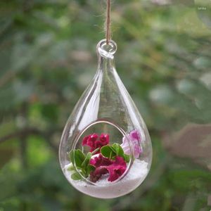 Bouteilles 6pcs / pack 10 13cm taille moyenne vase en verre suspendu à la main plante charnue hydroponique transparent terrarium décoration de la maison artisanat