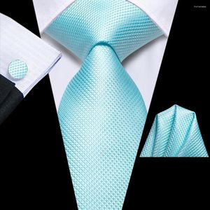 Noeuds papillon 2023 Paon Bleu Plaid Solide Cadeau Cravate Pour Hommes Marque De Mode De Noce Cravate Handky Bouton De Manchette En Gros Hi-Tie Designer