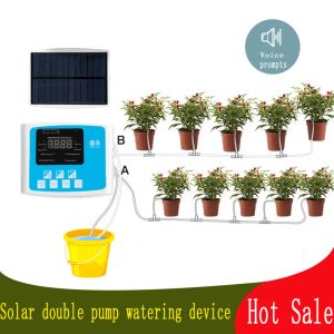 Boîtes 1/2 pompe intelligente d'irrigation goutte à goutte, système de minuterie, dispositif d'arrosage automatique de jardin, charge d'énergie solaire, plante en pot