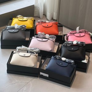 Sac à épaule de marque Sac de messager de luxe pour femmes Small Soft Nylon Designer Cross-Body Dumplings réels sacs en cuir et sacs à main