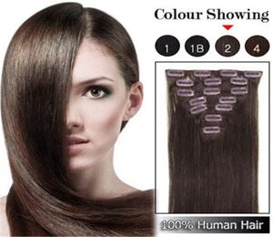 Brésilien Human Hair Clip raide dans les extensions de cheveux 7pcs Full Head Set 16quot22quot Multiply Colors Fast 5561707