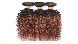Pelo virginal brasileño Ombre Weave 3 paquetes Kinky Curly 1B 30 Color castaño medio Sin procesar Cabello humano rizado peruano malasio 6095961