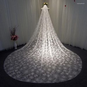 Voiles de mariée scintillants style coréen champagne blanc voile de mariage pour mariée cristal perlé brillant tulle couvre-chef visage 2024