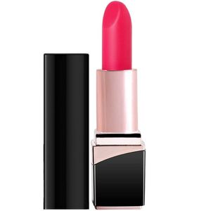 Bullet Lipstick G Spot Vibrateur - Astuce en forme de rouge à lèvres avec 10 modes de vibration Disquet Pocket Femmes Soft Power