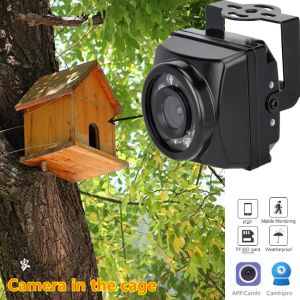 Caméras Small Outdoor Mini IP Poe Poe Caméras Vision nocturne IPC Wide angle Video Security Security Camera Surveillance P2P ONVIF Bird Cage