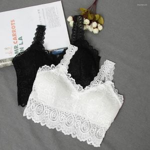 Camisolas sin mangas para mujer, camisetas sin mangas sexis blancas y negras, sujetador acolchado de encaje Floral de ganchillo, chaleco informal de algodón con cuello en V