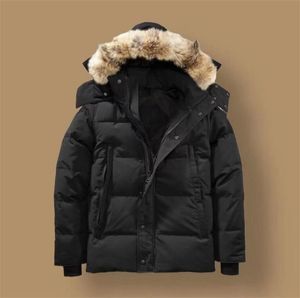 Canada vestes hommes designer réel coyote fourrure coupe-vent extérieur jassen survêtement à capuche fourrure manteau doudoune manteau hiver parka
