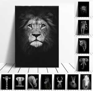 Toile peinture Animal mur Art Lion éléphant cerf zèbre affiches et impressions photos murales pour salon décoration maison Decor6122941