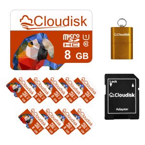 Cartes cloudisk 10pack micro sd 1 Go 2 Go 4 Go 8 Go 16 Go de cartes mémoire flash 256 Go 128 Go 64 Go 32 Go U3 C10 A1 Cadeaux gratuits TF pour téléphone