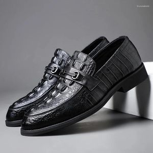 Zapatos informales 2024 Fashion Business Vestido de cuero Grupo bajo set Foot Alligator Man Lofer