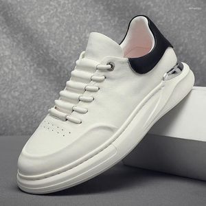 Chaussures décontractées de style coréen hommes blancs respirant authentine en cuir sport de chaussures de chaussures de chaussures de créateur de chaussures de rue pour jeunes zapatos