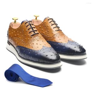 Zapatos informales de lujo hechos a mano de cuero de vaca Real para hombre, zapatillas Oxford con cordones y punta de ala, calzado Brogue con patrón de avestruz, calzado marrón y azul para hombre