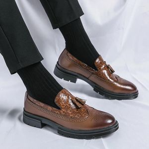 Zapatos informales, mocasines con borlas de lujo, vestido de hombre, zapato de hombre a la moda, zapato de cuero Brogue de diseñador, boda marrón para primavera