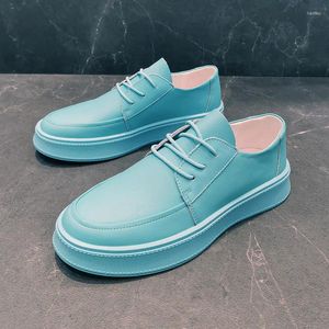 Chaussures décontractées hommes Fashion Fête Banquet Robe Flats à lacets Blanc Blue Blue chaussure respirante Plateforme Plateforme Youth Vérine chaussures en cuir authentique