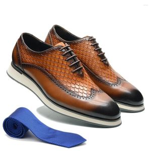 Chaussures décontractées XEBOS qualité hommes Sneaker véritable cuir de vache plat Oxfords à lacets motif serpent aile pointe orteil richelieu chaussures