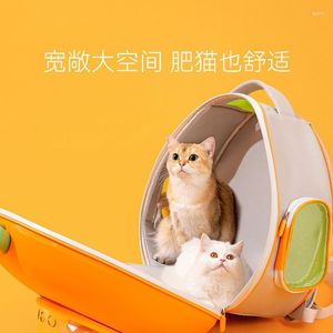 Cat Carriers Outgoing Fashion Cute Kitty Puppy Show Portable Pet Bag
