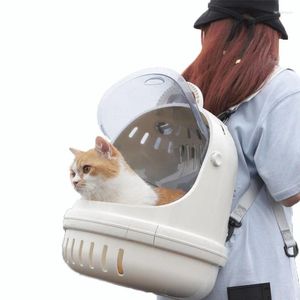 Portadores de gatos transparentes bolsas para exteriores perros portátiles transportando mochila estilo espacio para cachorros de animales pequeños suministros de mascotas de correa única