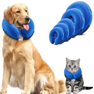 Colliers de chat mène le collier élisabéthain doux cône de chien gonflable animal de compagnie pour petits grands chiens chats E collier pour la récupération chirurgicale 231017