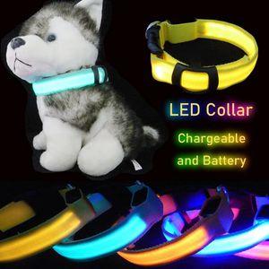 Colliers de chat laisse LED collier de chien lumière grand animal de compagnie petit charme nuit sombre sécurité allumer clignotant USB Charge Anti perte Nylon pour Chihuahua laisse 231017