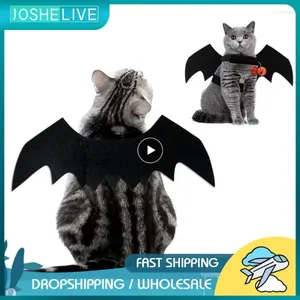 Costumes de chat Costumes Bat Aile accessoires orange durable parfait pour Halloween Unique Design Matériaux de haute qualité Vêtements pour chiens Vêtements