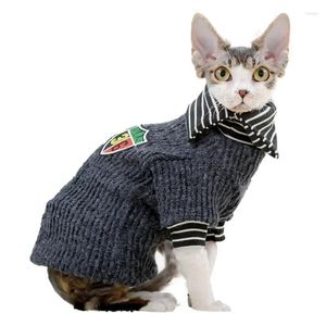 Traje de gato ropa masculina guapo insp masa dos patas británicas cortas azules azules y otoño