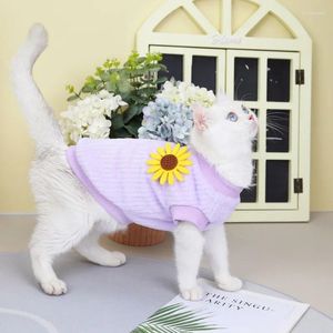 Cat Costumes Vêtements automne et hiver chaton Blue Pet 2024 Version coréenne Velvet vertical