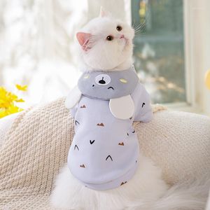 Costumes de chat mignon ours pull pour animaux de compagnie hiver sans poils bleu Anti-perte de cheveux pull petit chien vêtements à deux pattes en gros