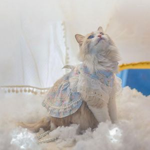 Disfraces de gato Ropa para mascotas Vestido de verano Falda delgada de lolita Lindo perro Estilo de primavera y otoño Accesorios de dote a prueba de pelo Herramienta