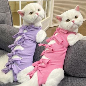 Costumes de chat Suit de récupération Femelle chaton de grenouille pour chats après des maladies de la peau abdominale Vêtements de col côtiers