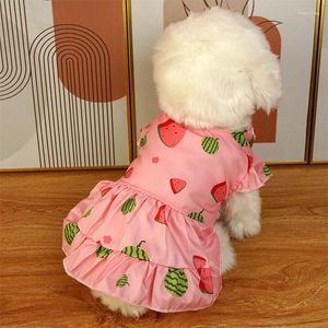 Costumes de chat robe de Fruits sucrés vêtements pour petit chien pastèque fraise Kawaii vêtements épais chaud mignon Costume articles pour animaux de compagnie en gros