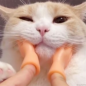 Jouets de chat minuscules mains pour chats accessoires en silicone drôle mini-doigt créatif fidget small hand taeting animaux jeu jouet