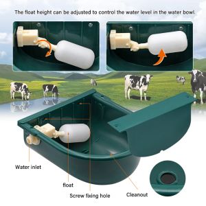 Bol de buveau à eau de chèvre de chèvre alimentation cassette automatique Waterer Horse Dog Drinking Bowl for Cow Horse Farm Animal Nourrir l'équation