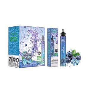 Original Vapen Ehook 2500bouffées Bobine de maille 0% 2% Kit de démarrage de cigarettes électroniques jetables Pod prérempli Stylo vape Forme de bouilloire Conseils d'égouttement Grande sortie de fumée Portable Extra Max Vape