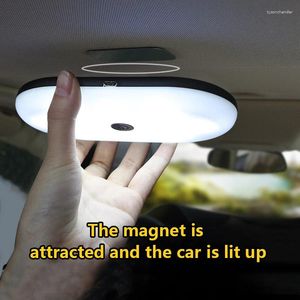 Plafonniers Lampe de coffre de voiture Lumière Lecture USB Rechargeable Toit Aimant Auto Style Nuit