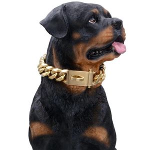 Chaînes 15mm collier de collier d'or pour chien de compagnie Stong en acier inoxydable liens métalliques Slip chaîne formation grandes races-Rottweiler262E